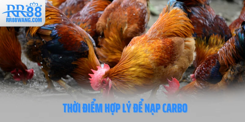 Thời điểm hợp lý để nạp carbo